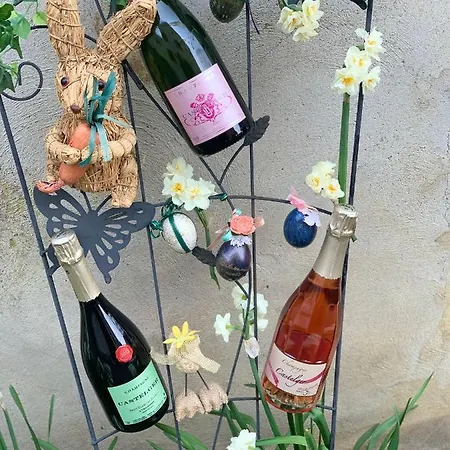 Castelger Bed & Breakfast Vauciennes (Marne)