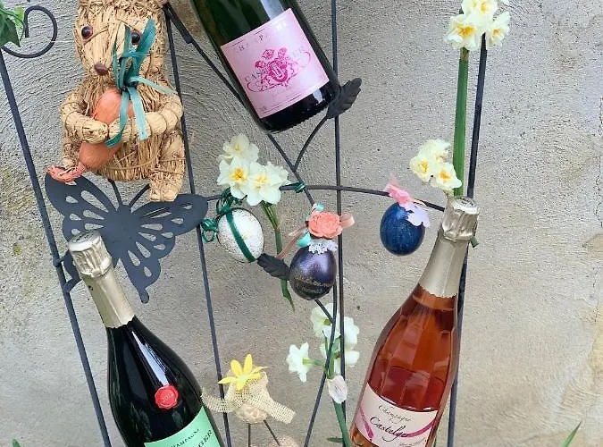 Castelger Bed & Breakfast Vauciennes (Marne)